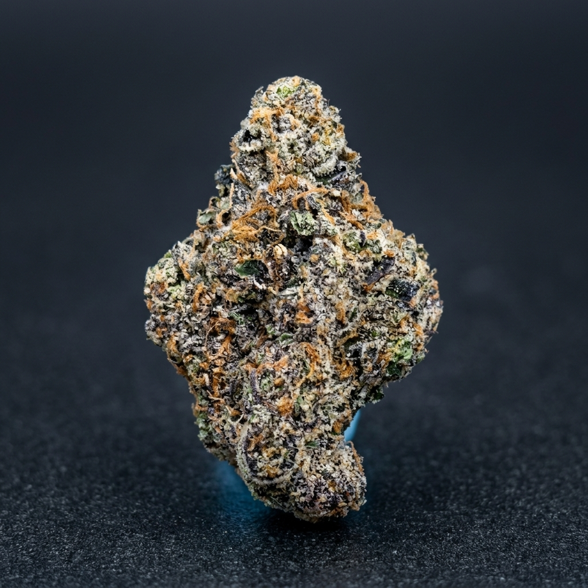 Girl Scout Sherbet (1lb)