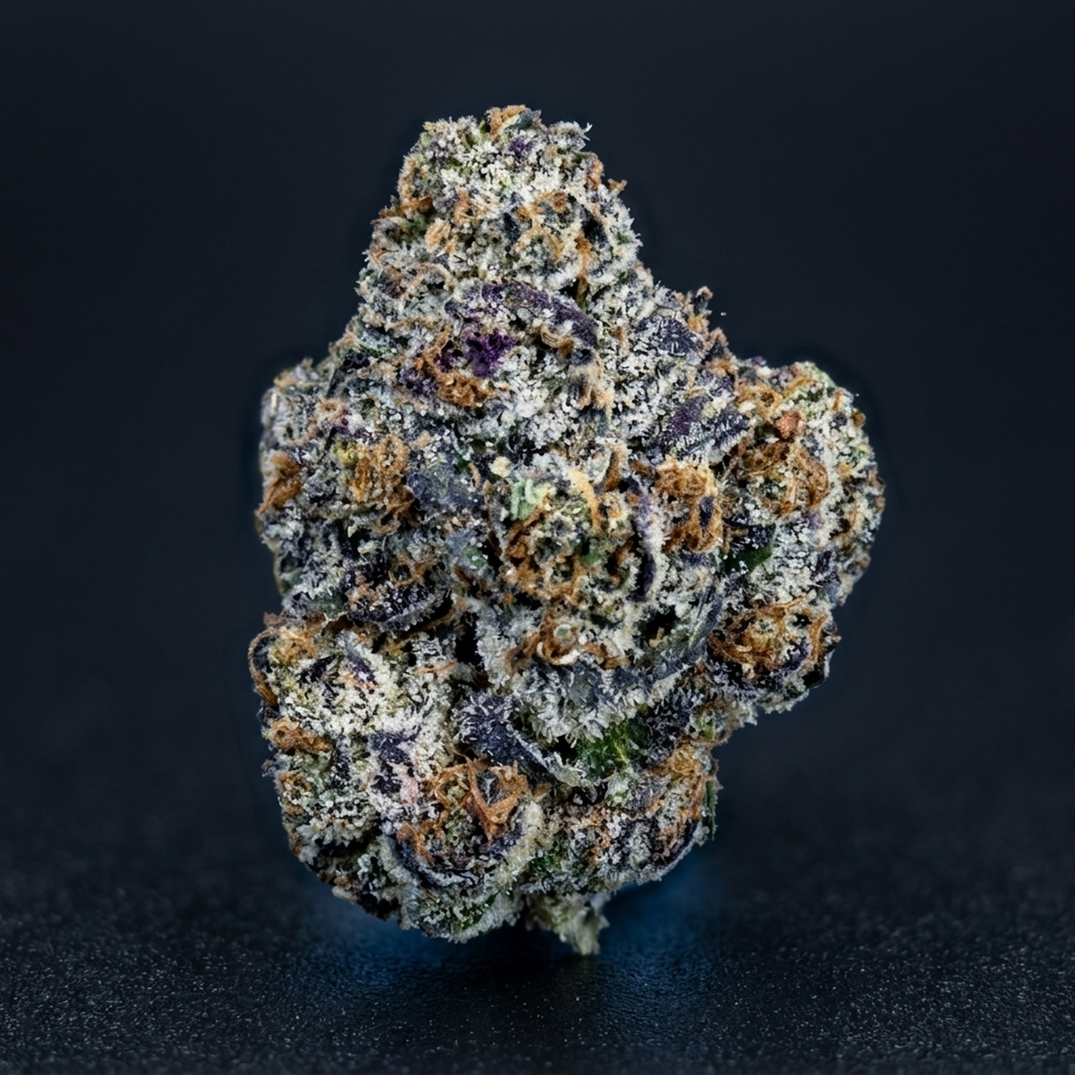 White Russian oHz (1lb)
