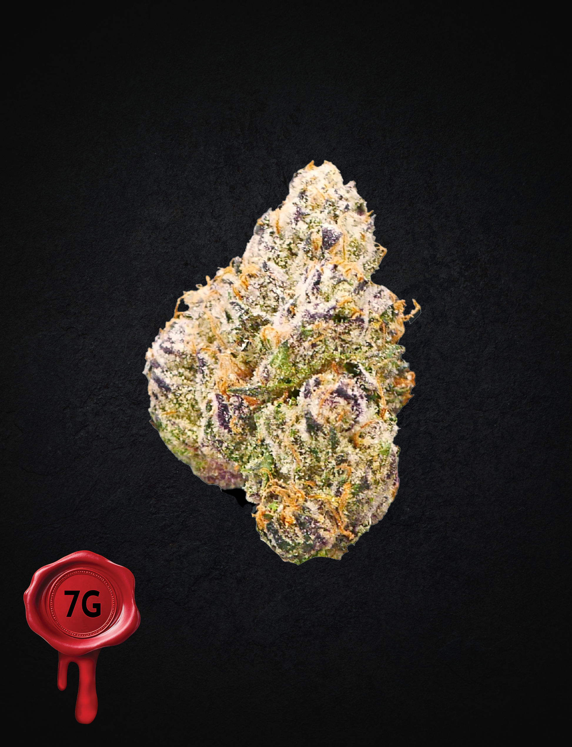 Northern z (7g)