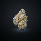 Northern z flower