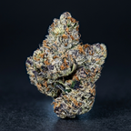 Russian Ohz flower