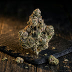 Toad Venom (7g)