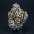 White Russian oHz flower